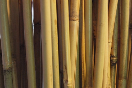 Bamboestieken